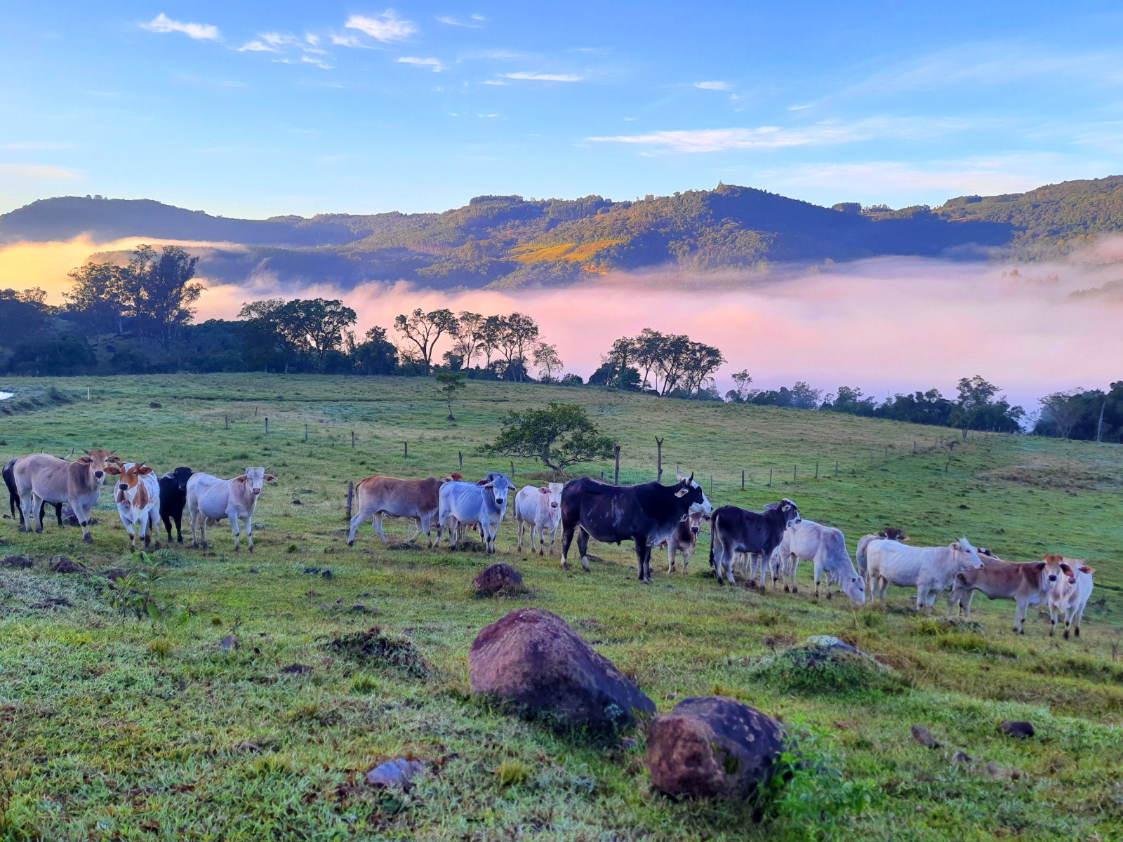 Concurso fotográfico “Olhares do Turismo em Taquara” abre inscrições para sua primeira edição