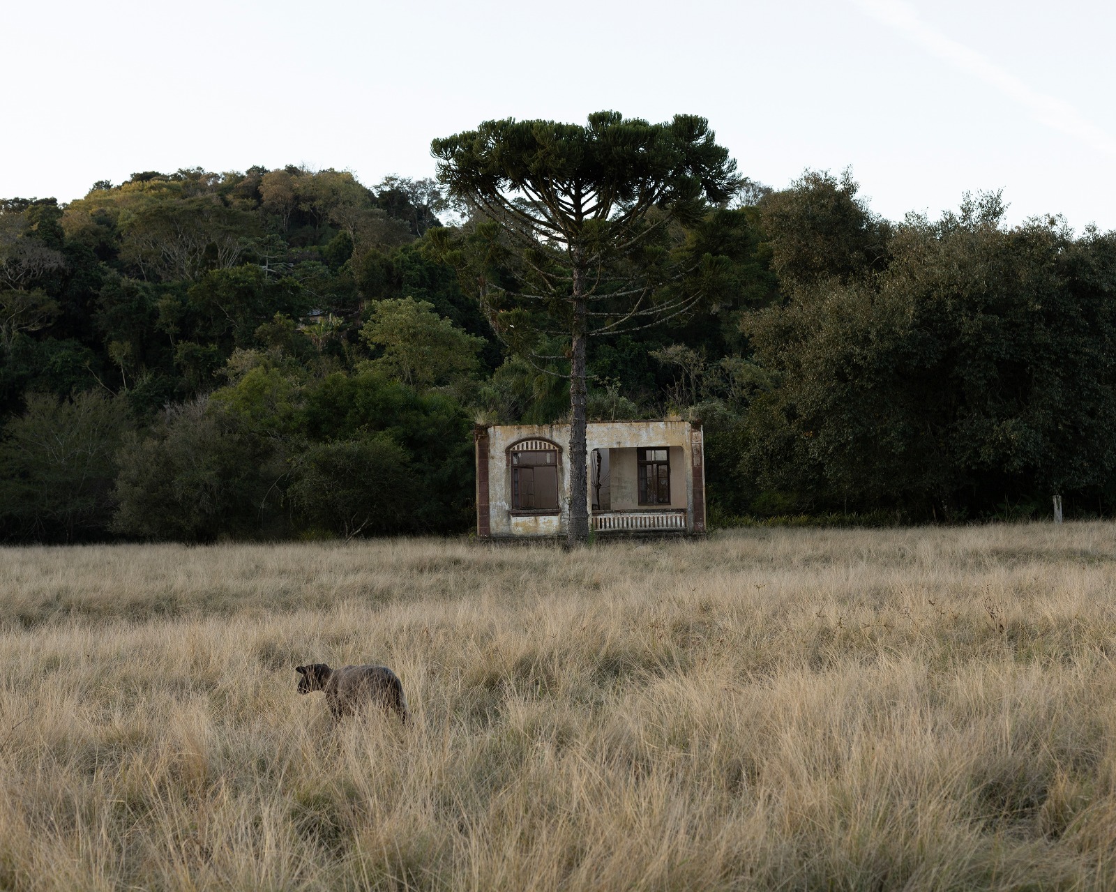 Prefeitura de Igrejinha premia vencedores do IX Eco Clic 2025