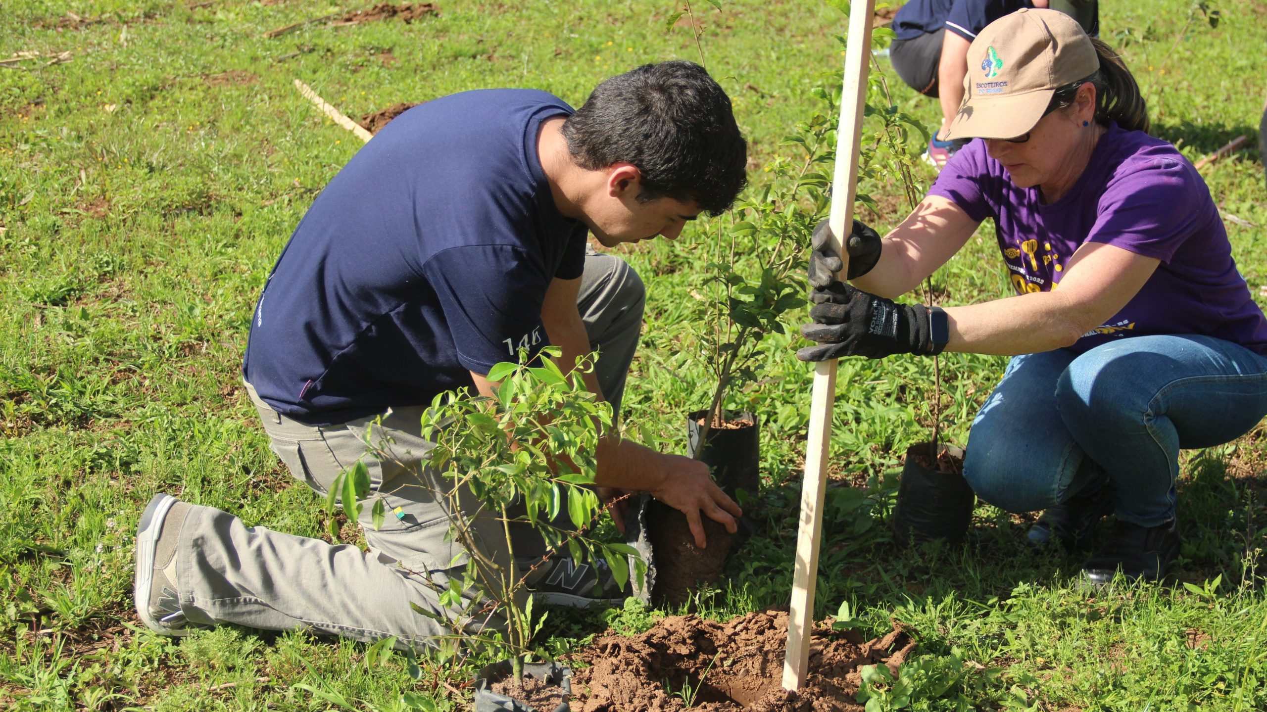 Mutirão do Projeto Reflora Paranhana planta 700 mudas de árvores em Três Coroas