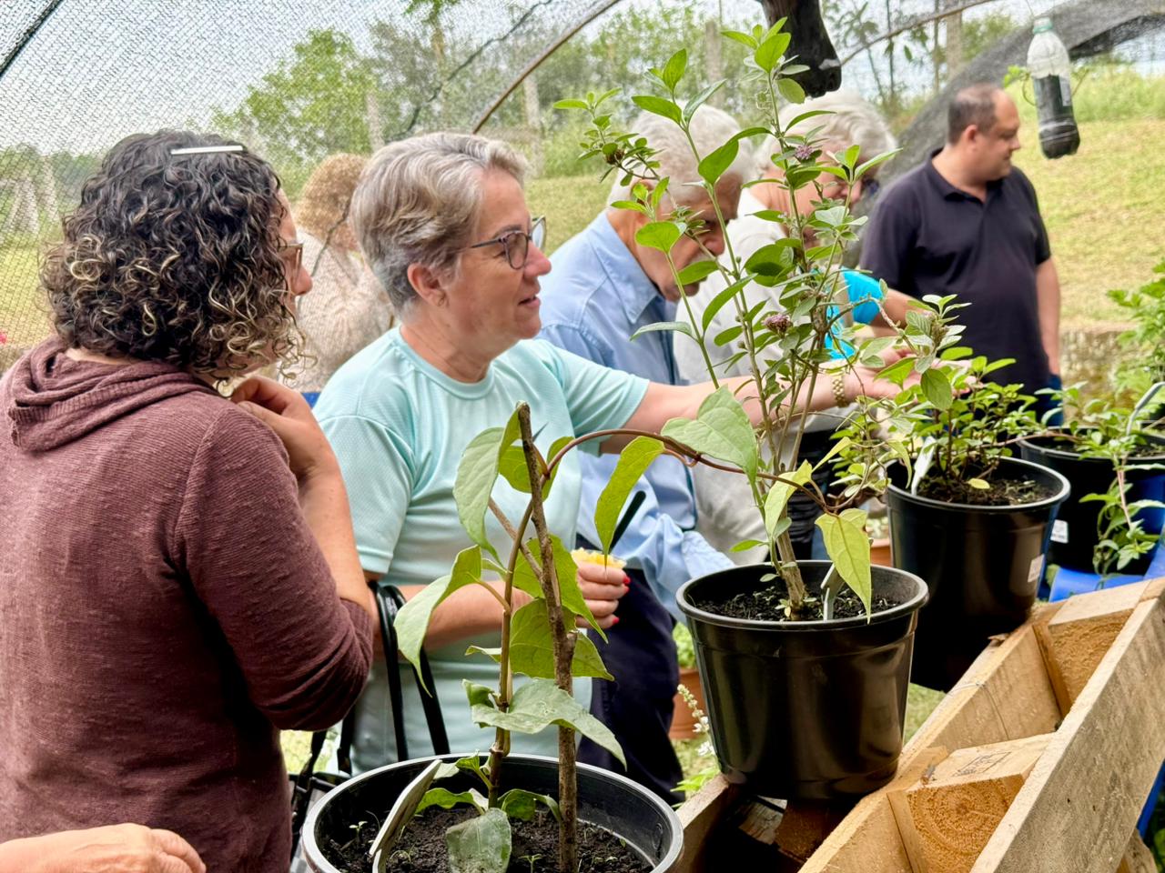 Taquara implanta projeto “Farmácia Viva” com foco em tratamento complementar à saúde