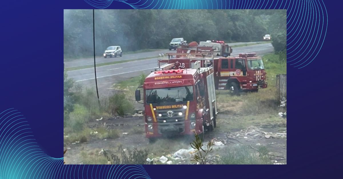 Incêndio em vegetação mobiliza bombeiros na ERS-239, em Parobé
