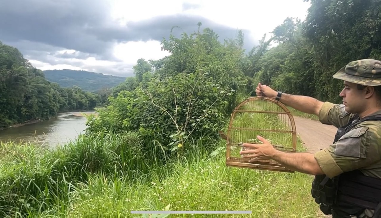 Polícia Ambiental e Secretaria de Meio Ambiente resgatam pássaros nativos e combatem caça ilegal em Três Coroas