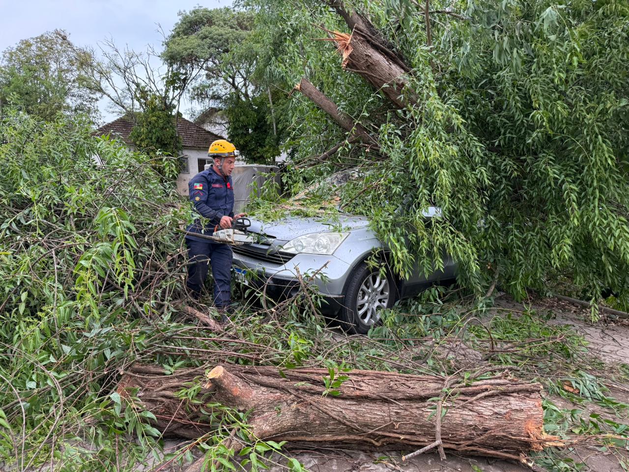 Vento forte derruba árvore no estacionamento do Hospital Bom Jesus, em Taquara