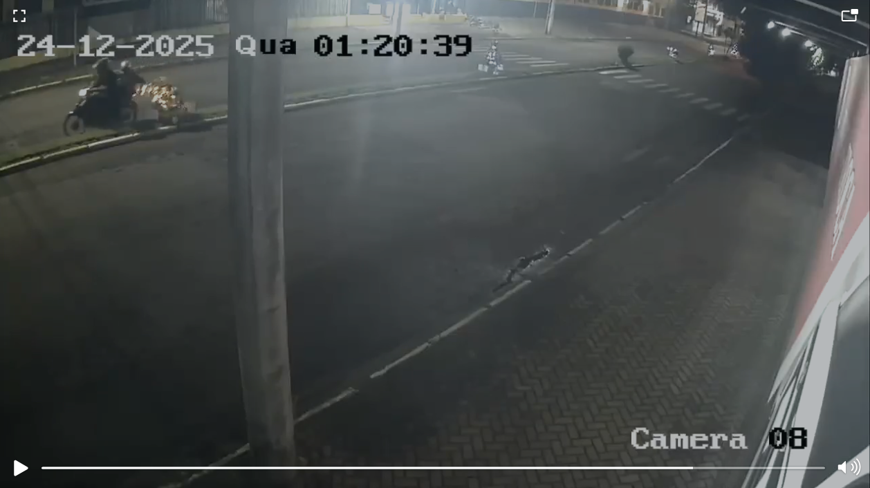 Pinheirinhos de Natal são vandalizados em Parobé