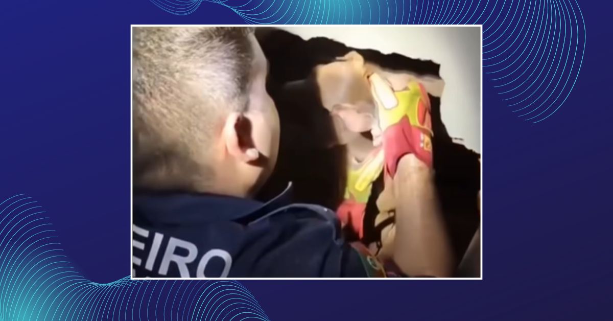 Cães são resgatados após ficarem presos entre paredes em Taquara; VEJA VÍDEO