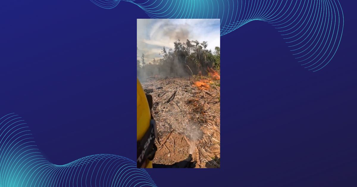 Incêndio atinge cerca de 20 hectares de vegetação no interior de Taquara