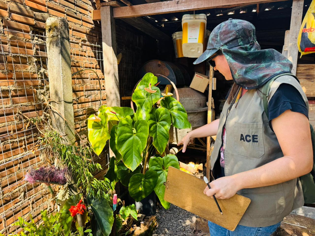 LIRAa 2026 aponta índice inferior para dengue ao registrado em 2025 em Taquara