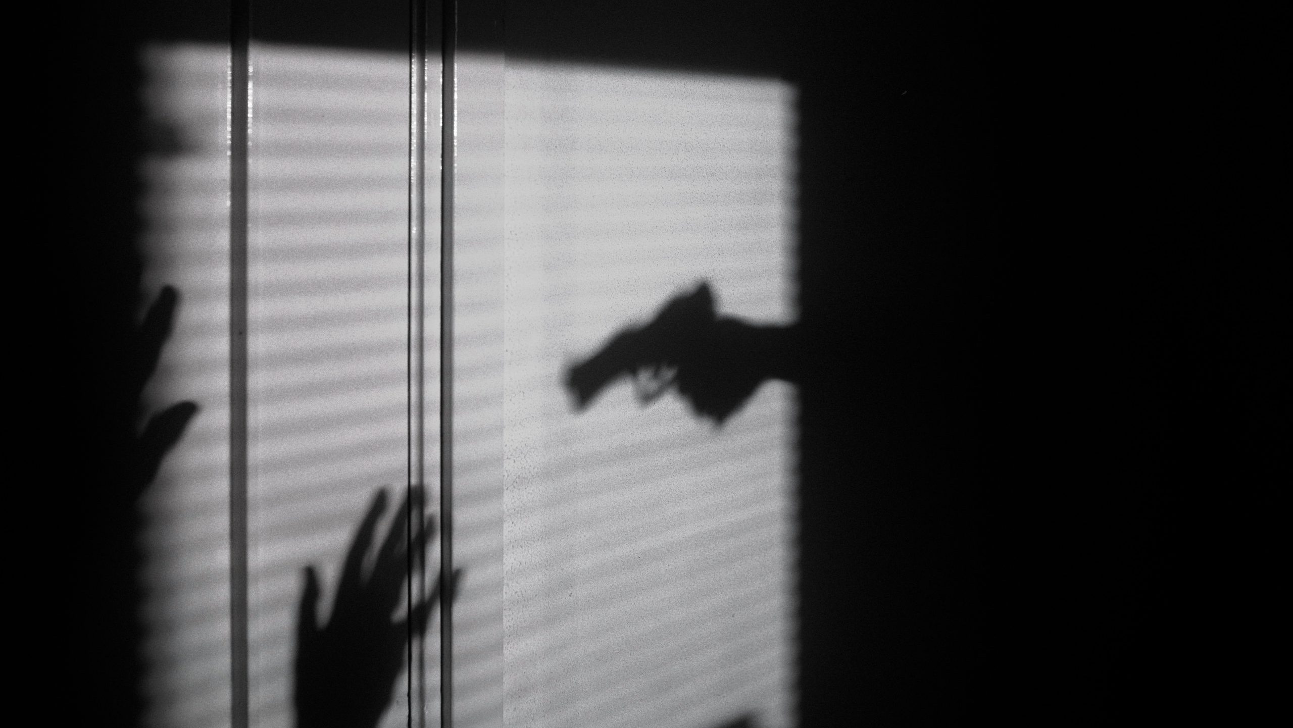 Blitz de conscientização marca mobilização contra a violência à mulher em Igrejinha