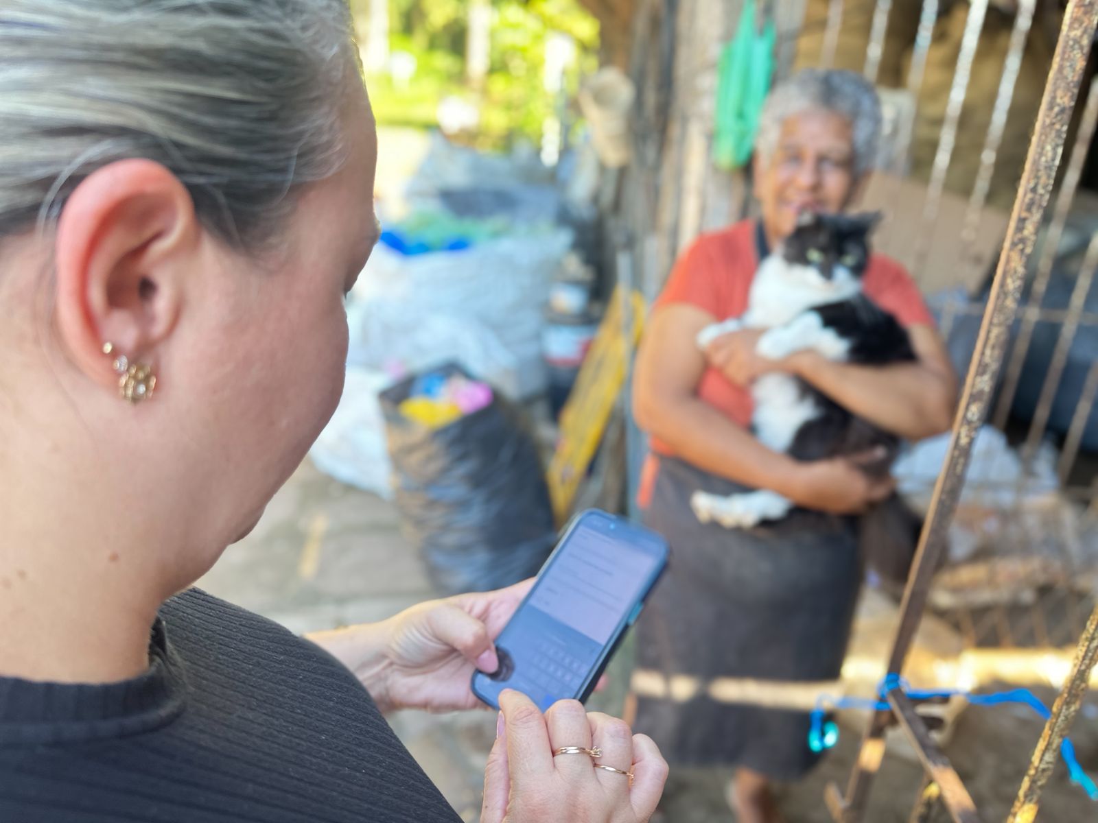 Três Coroas inicia Censo Animal para mapear população de animais