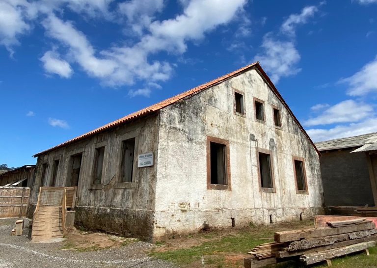 Roda de conversa sobre a Steinhaus integra projeto de pesquisa que virará livro
