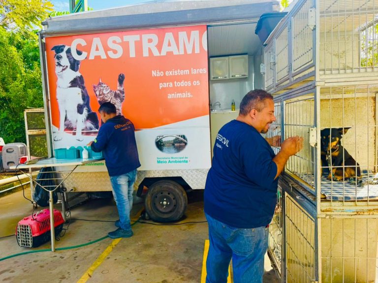 Castramóvel já realizou 86 castrações em 2026 em Taquara