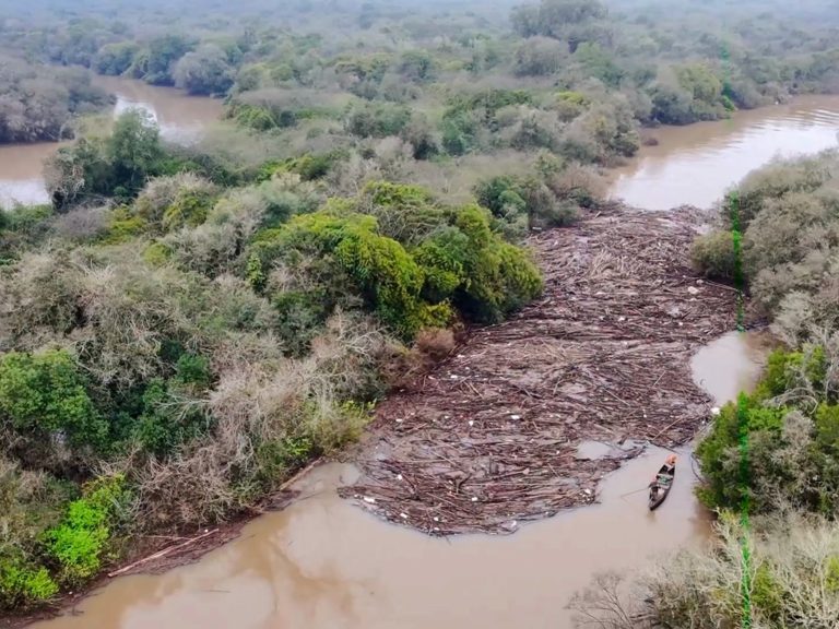 Acúmulo de galhos e troncos no Rio dos Sinos mobiliza força-tarefa para desobstrução em Taquara