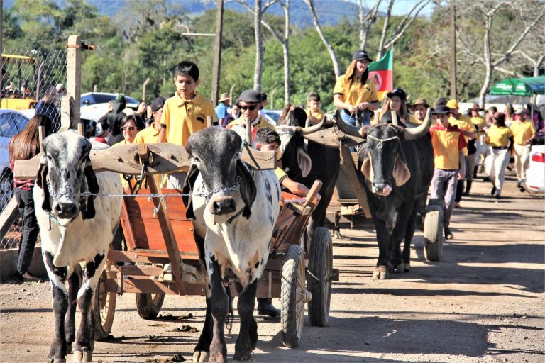 Parobé promove 19º Desfile do Boi Carreiro no dia 26 de julho