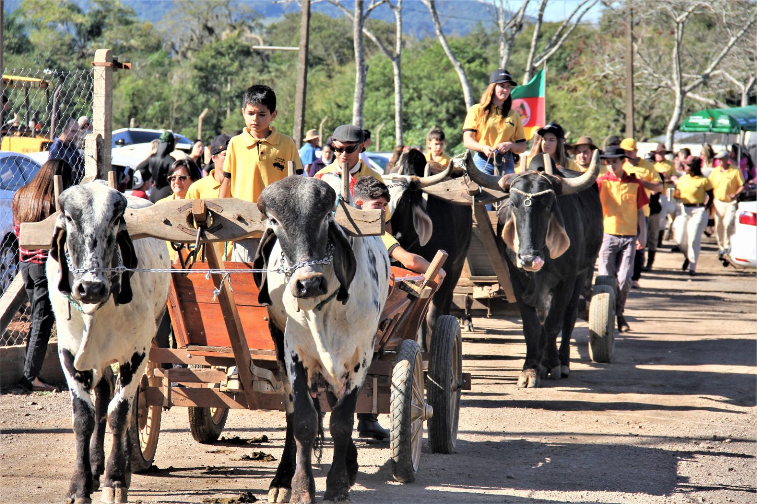 Parobé promove 19º Desfile do Boi Carreiro no dia 26 de julho
