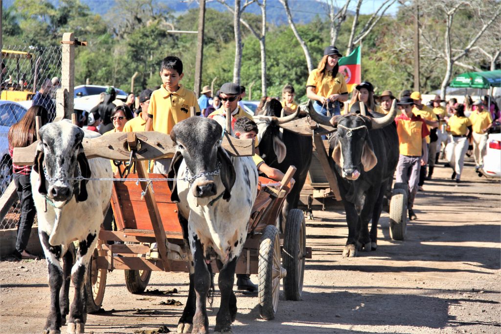 Parobé promove domingo (26) de celebração às tradições com Desfile do Boi Carreiro e 1ª Festa das Origens