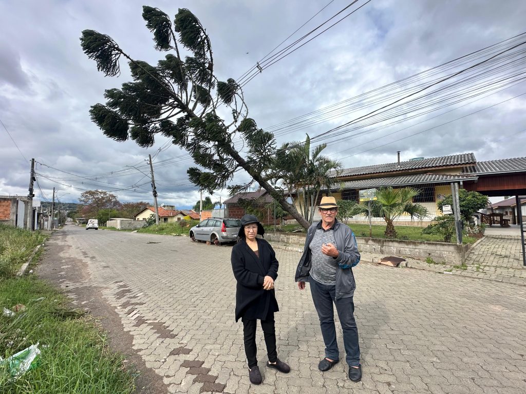 Morador relata que alertou sobre pinheiro antes de queda durante temporal em Parobé