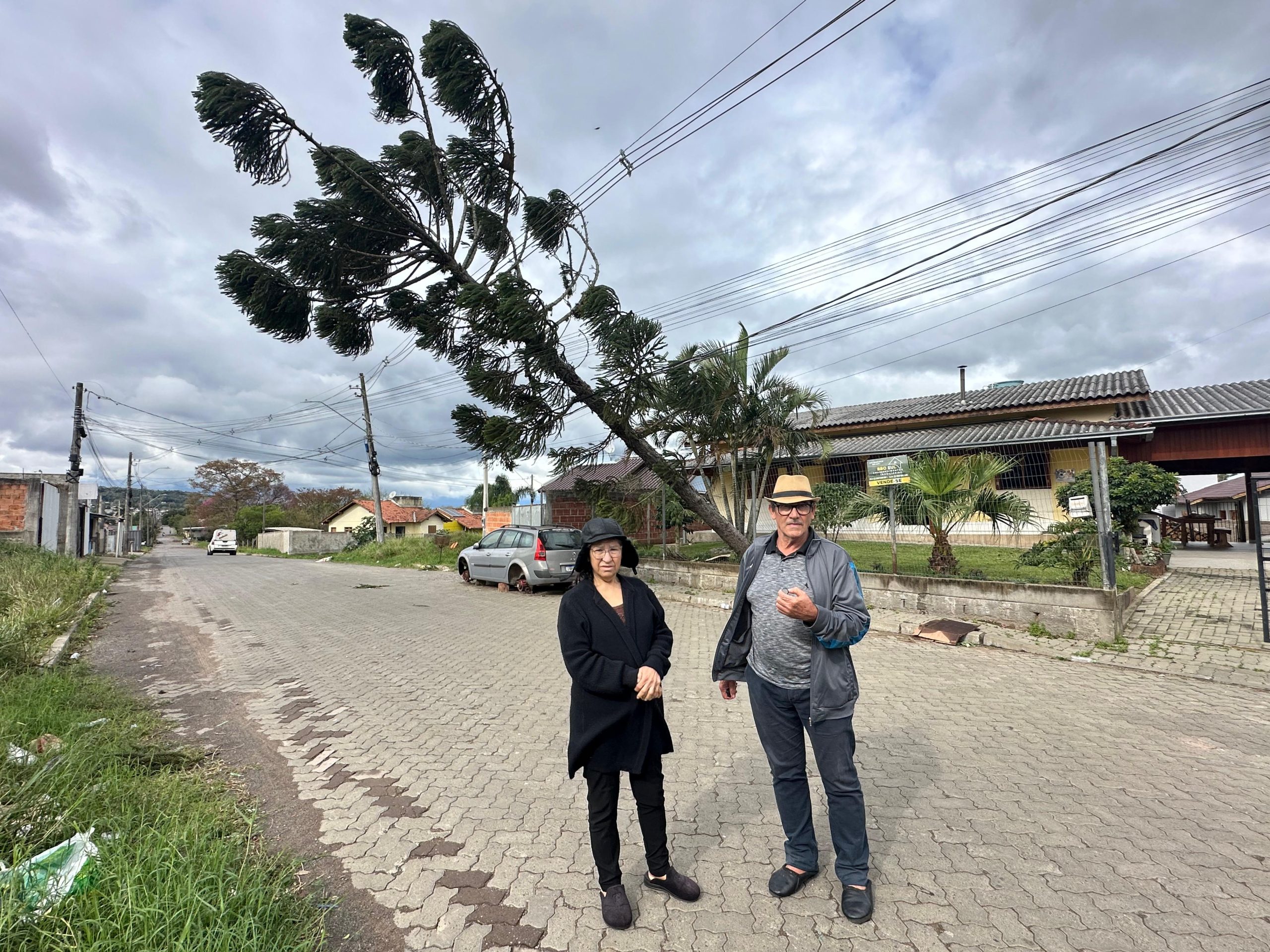 Morador relata que alertou sobre pinheiro antes de queda durante temporal em Parobé
