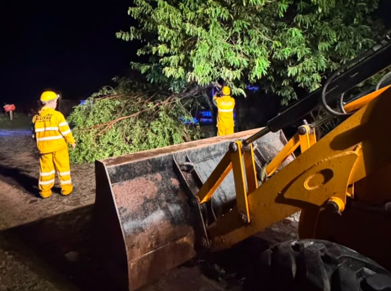 Temporal provoca quedas de árvores, destelhamentos e danos em mais de 15 escolas de Taquara