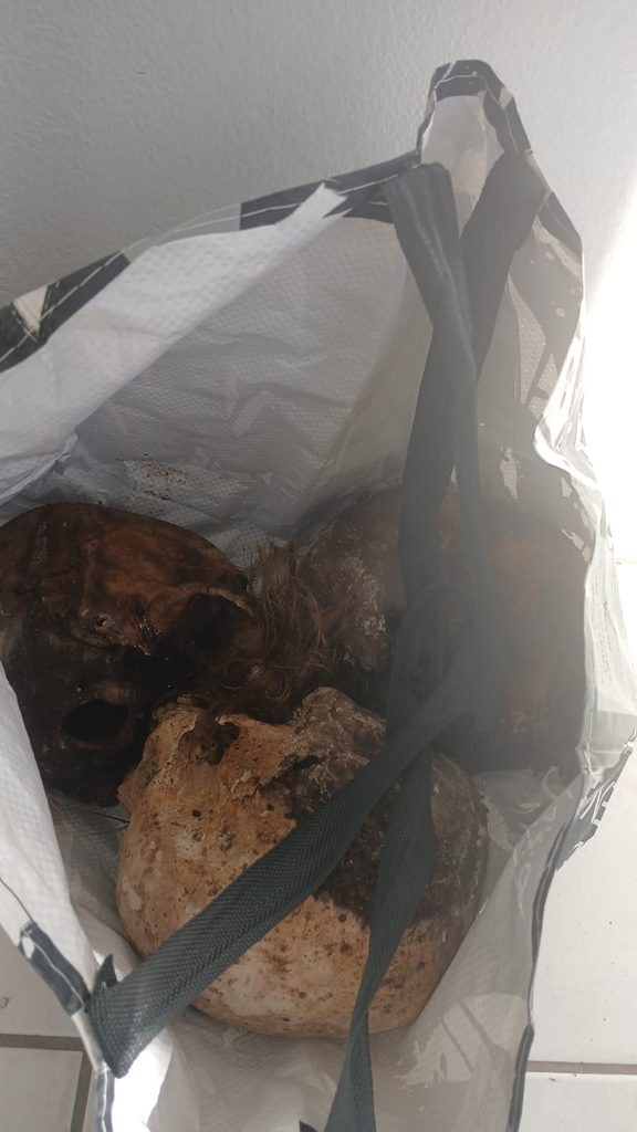 Crânios encontrados com paciente do Caps podem ter sido retirados de cemitério em Parobé