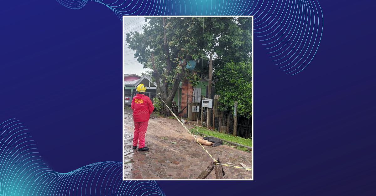 Dois cães morrem eletrocutados durante temporal que causa estragos em Parobé