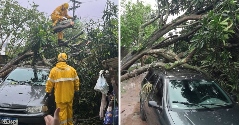 “O susto foi muito grande”: árvore destrói garagem e atinge carro durante temporal em Taquara