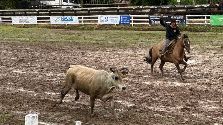 39ª Rolantchê terá cinco dias de provas campeiras, gineteada e shows em Rolante
