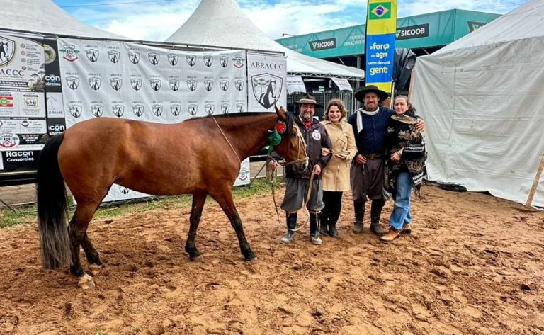 Haras de Taquara conquista premiações com Chamarrita e Farrapo na Expointer 2026