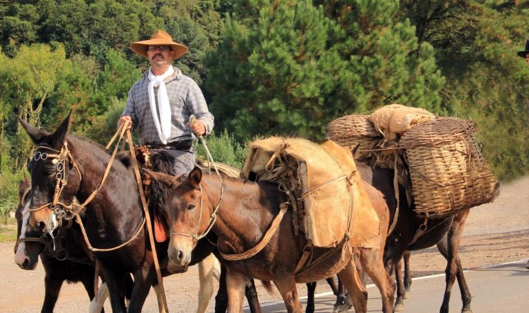 Fórum de Turismo do Vale do Paranhana reúne comunidade e setor turístico em Taquara