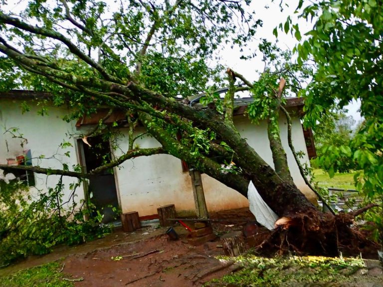 Temporal causa estragos em áreas urbanas e no interior de Taquara