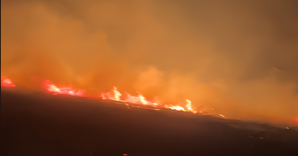 Incêndio em área de eucaliptos mobiliza bombeiros de Parobé e Taquara